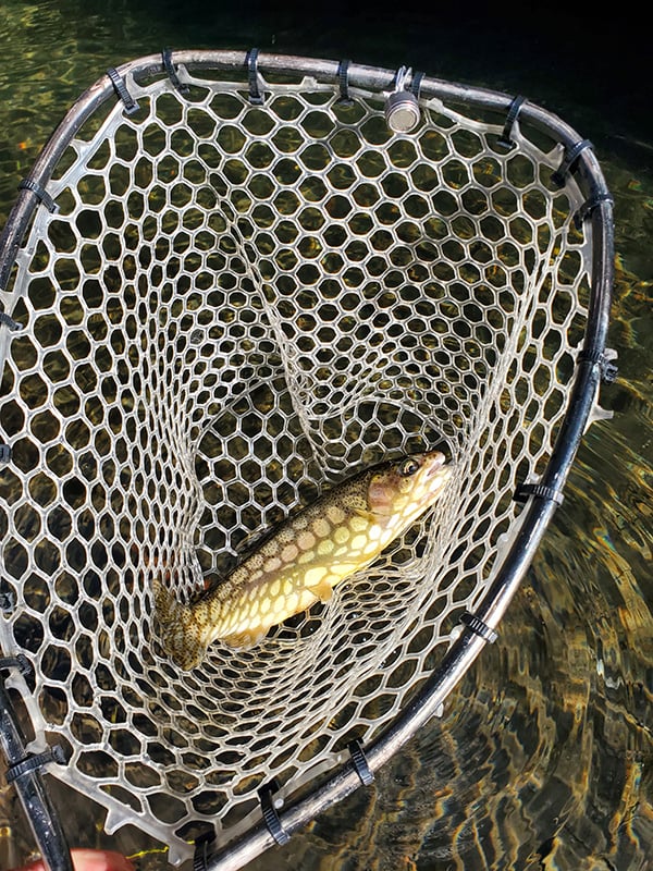 Southwest - Gila River - Brian Culligan